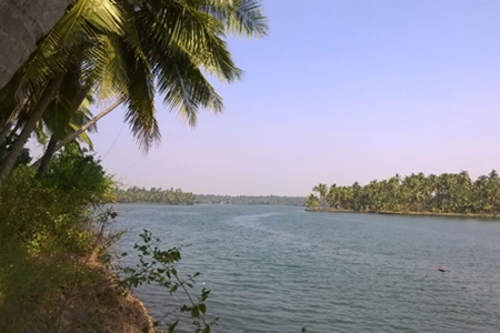 Thrissur Backwaters
