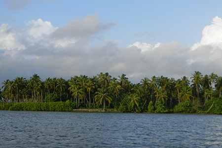 Enammavu Backwaters