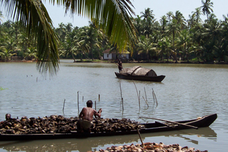 Thrissur Backwaters