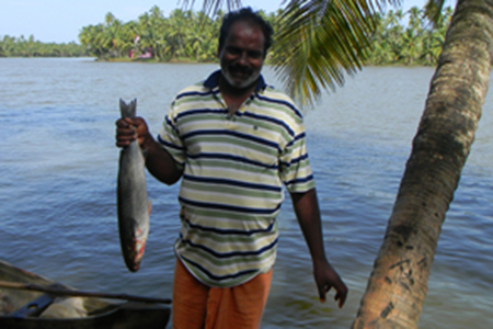 Fishing in Backwaters