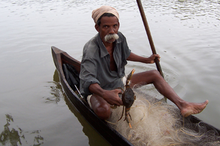 Fishing in Backwaters